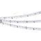 Лента RS 2-5000 24V White6000 2x (335, 600 LED) (Arlight, 9.6 Вт/м, IP20)