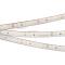 Лента RTW 2-5000PS 12V White6000 (3528, 300 LED, LUX) (Arlight, 4.8 Вт/м, IP67)