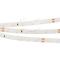 Лента RT 2-5000 24V Warm3000 (2835, 300 LED, PRO) (Arlight, 7.2 Вт/м, IP20)