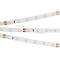 Лента RT 2-5000 24V Day5000 (3528, 300 LED, CRI98) (Arlight, 4.8 Вт/м, IP20)