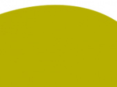 V24, GINKO