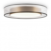 Потолочный светильник Freya FR6005CL-L48G