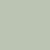 T821, ARDOISE VERTE