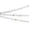 Лента RT 2-5000 24V Cool 8K 0.5x (3528, 150 LED, LUX) (Arlight, 2.9 Вт/м, IP20)