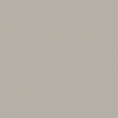 T333, GRIS CENDRE